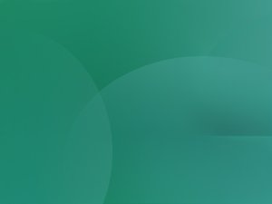 学习版本控制的最短路径是什么
